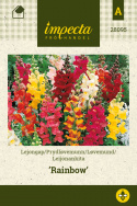 Leijonankita 'Rainbow'