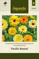 Tarhakehäkukka 'Pacific Beauty'