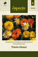 Tarhakehäkukka 'Fiesta Gitana'
