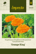 Tarhakehäkukka 'Orange King'