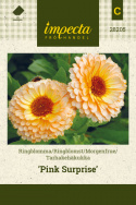 Tarhakehäkukka 'Pink Surprise'