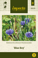 Ruiskaunokki 'Blue Boy'