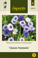 Ruiskaunokki 'Classic Fantastic'