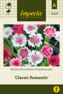 Ruiskaunokki 'Classic Romantic'