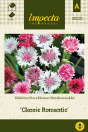 Ruiskaunokki 'Classic Romantic'