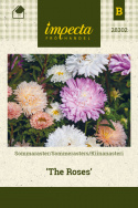 Kiinanasteri 'The Roses'