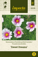 Punakosmoskukka 'Sweet Dreams'
