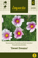 Punakosmoskukka 'Sweet Dreams'