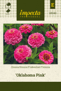 Tsinnia 'Oklahoma Pink'