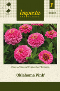 Tsinnia 'Oklahoma Pink'