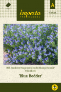 Piiankieli 'Blue Bedder'