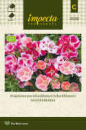 Isosilkkikukka