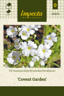 Kesäharso 'Covent Garden'
