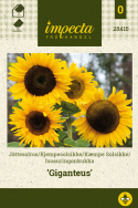 Isoauringonkukka 'Giganteus'