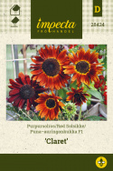 Puna-auringonkukka F1 'Claret'