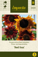 Puna-auringonkukka 'Red Sun'