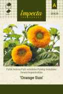 Auringonkukka 'Orange Sun'