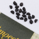 Aitoelämänlanka 'Knowlian's Black'
