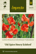 Tuoksuherne 'Old Spice Henry Eckford'