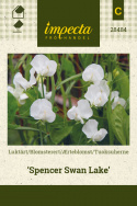 Tuoksuherne 'Spencer Swan Lake'
