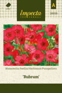 Punapellava 'Rubrum'