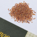 Tuoksupielus 'Carpet Of Snow'