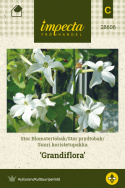 Suuri koristetupakka 'Grandiflora'