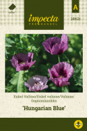 Oopiumunikko 'Hungarian Blue'