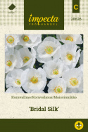 Silkkiunikko 'Bridal Silk'