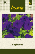 Petunia F1 'Eagle Blue'