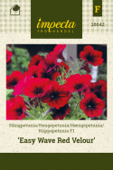 Riippapetunia F1 'Easy Wave Red Velour'