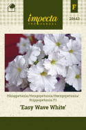 Riippapetunia F1 'Easy Wave White'