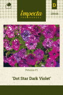 Petunia F1 'Dot Star Dark Violet'