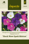 Riippapetunia F1 'Shock Wave Spark Mixture'