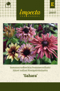Kesäpäivänhattu 'Sahara'