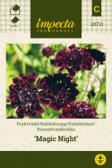 Koreatörmäkukka 'Magic Night'