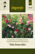 Tuoksuherne 'Villa Roma Mix'