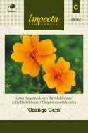 Kääpiösamettikukka 'Orange Gem'