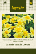 Samettikukka 'Alumia Vanilla Cream'