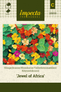 Köynnöskrassi 'Jewel Of Africa'