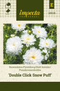 Punakosmoskukka 'Double Click Snow Puff'