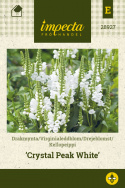 Kellopeippi 'Crystal Peak White'