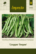 Taitepapu 'Cropper Teepee'
