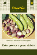 Härkäpapu 'Extra precoce a grano violetto'