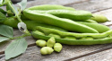 Härkäpapu 'Superaguadulce'