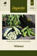 Härkäpapu 'Witkiem'