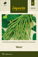 Taitepapu 'Maxi'