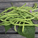Taitepapu 'Fleuret'