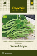 Salkopapu 'Neckarkönigin'