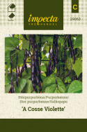 Salkopapu 'A Cosse Violette'